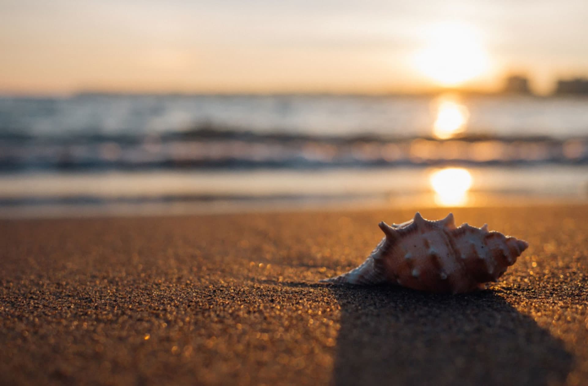 Metasploit Development Diaries: Q2 2019