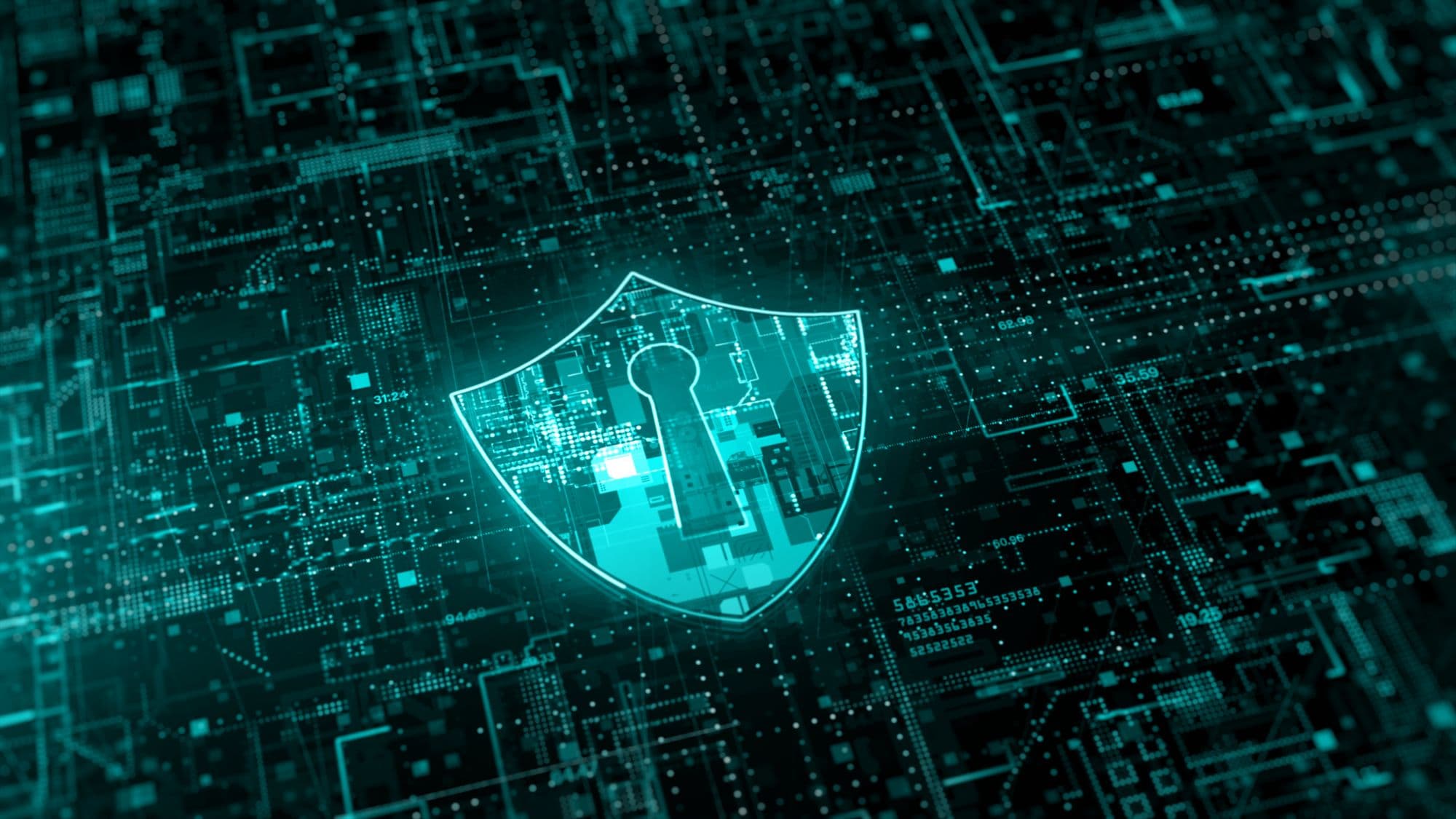 What's New in InsightVM and Nexpose: Q1 2022 in Review