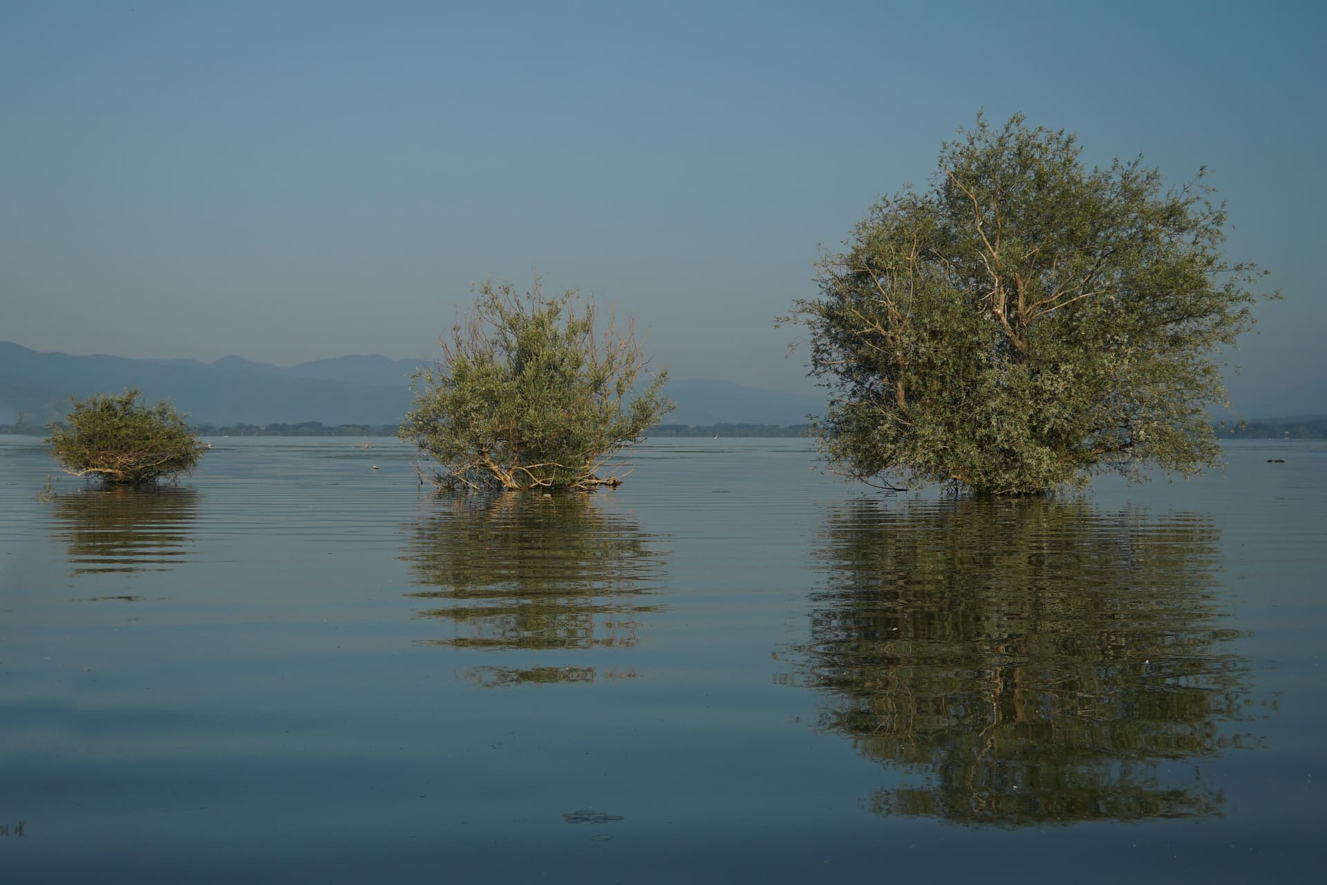 Security Orchestration and Automation: Not Just for Mature Organizations