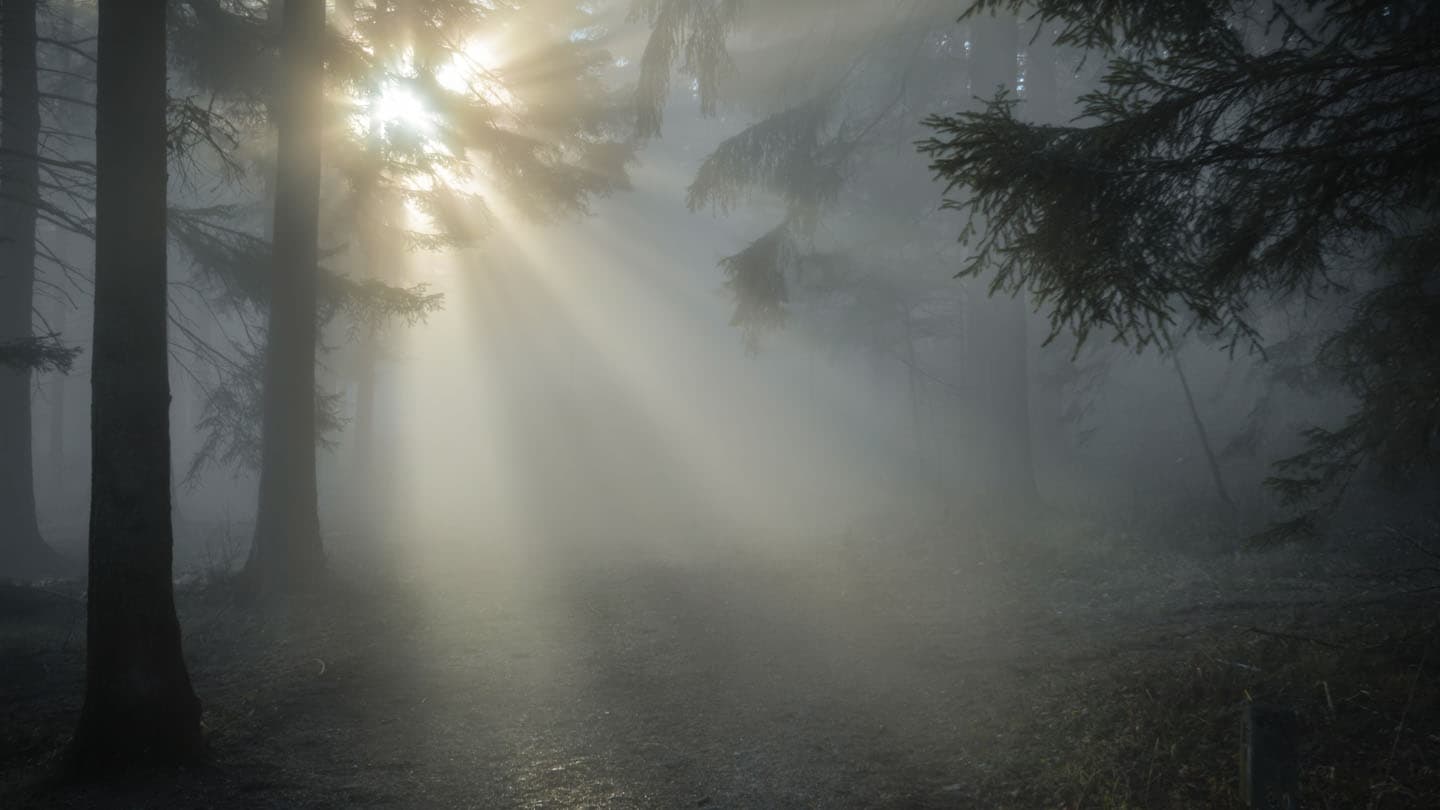 Discovery of assets in Active Directory