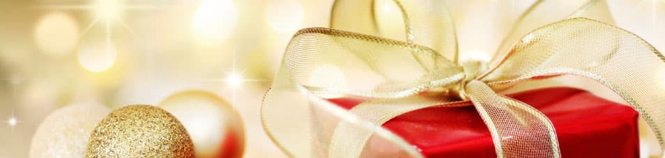 12 Days of HaXmas: Designing Information Security Applications Your Way