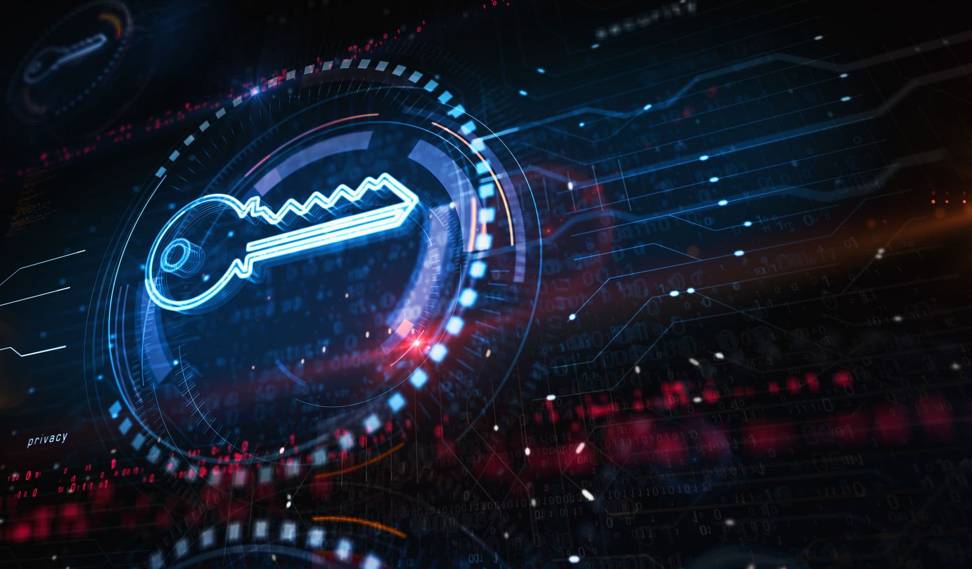 5 Steps for Dealing With Unknown Environments in InsightVM