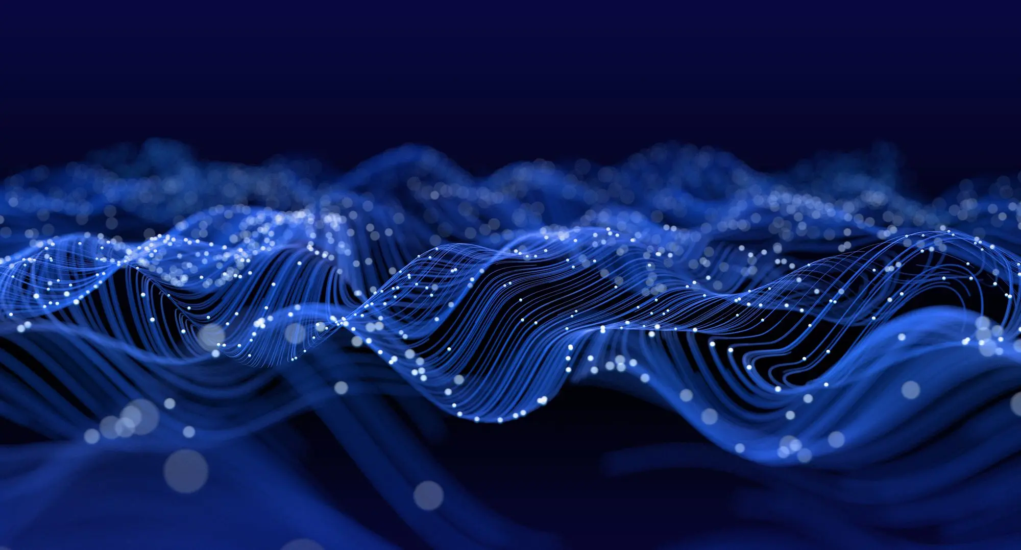 Major Carding Site Replacement: How Altenen.nz Rose From the Ashes of Altenen.com