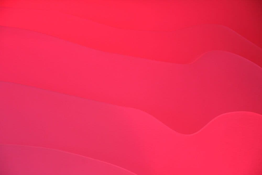 Application Security Takes Center Stage in this Year’s Verizon Data Breach Investigations Report