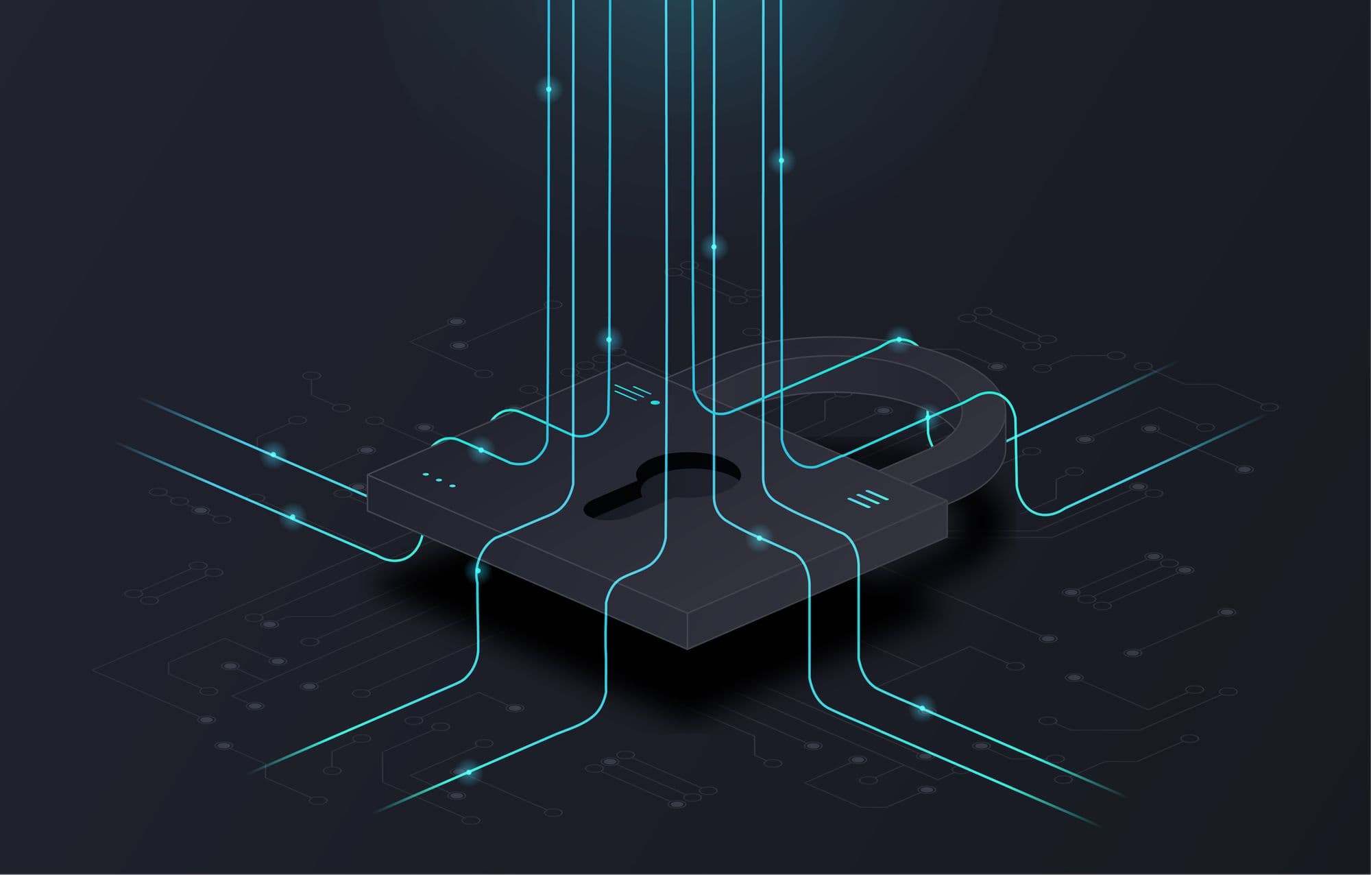 New Report Shows What Data Is Most at Risk to (and Prized by) Ransomware Attackers