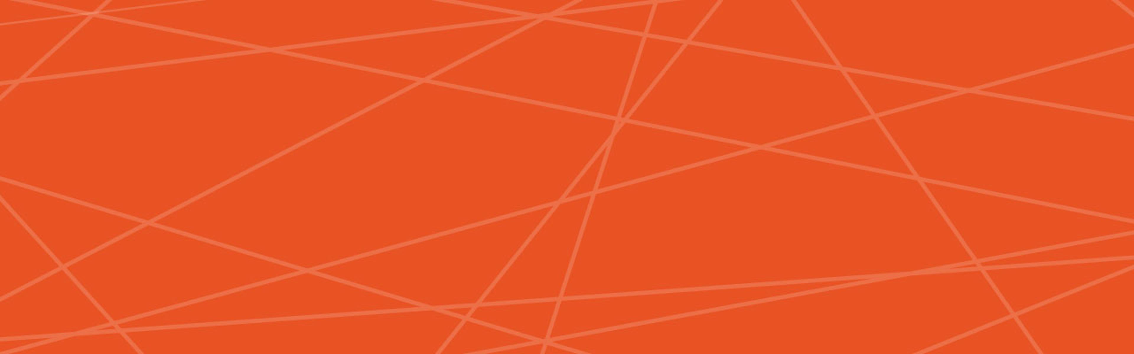 Checks and Balances - Asset + Vulnerability Management