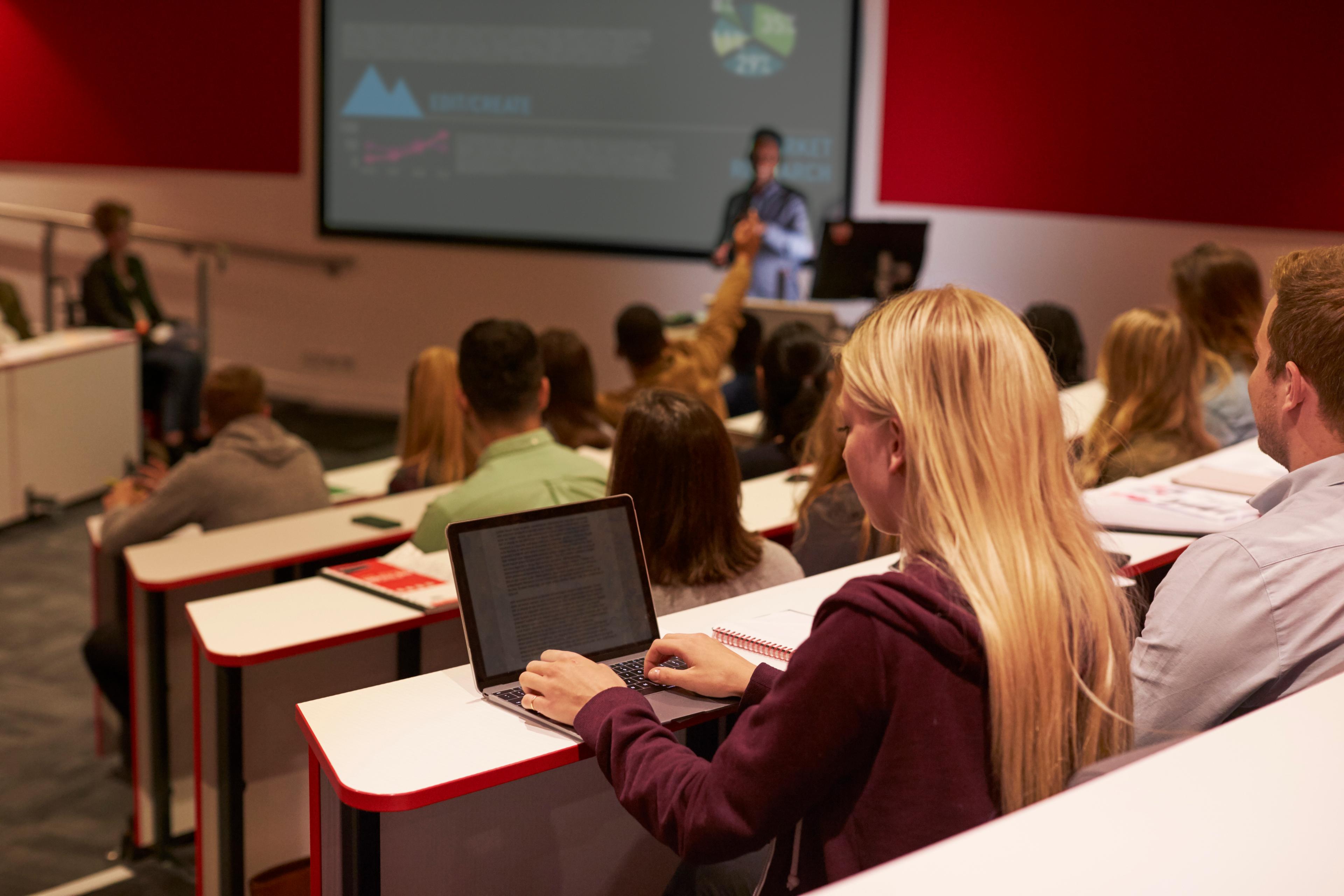 university-of-south-florida-bg.webp