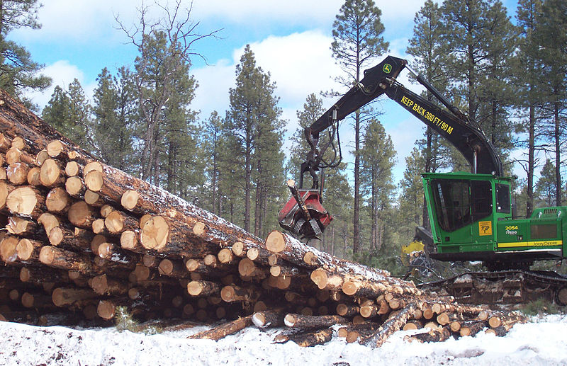800px-John_Deere_2054_DHSP_forestry_swing_machine_Kaibab_National_Forest_1.jpg