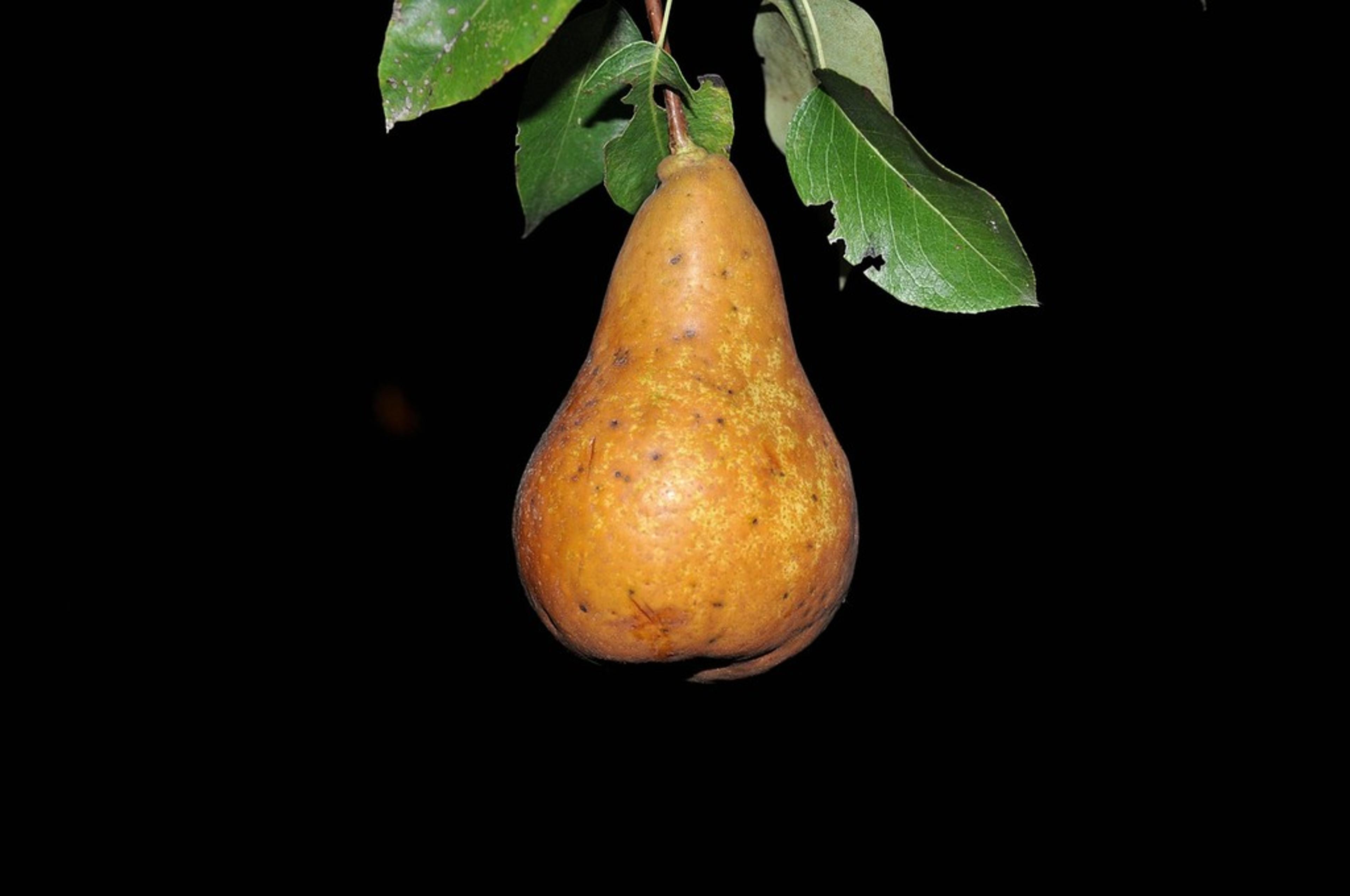 PHP Extension and Application Repository (PEAR) Compromise: What You Need to Know